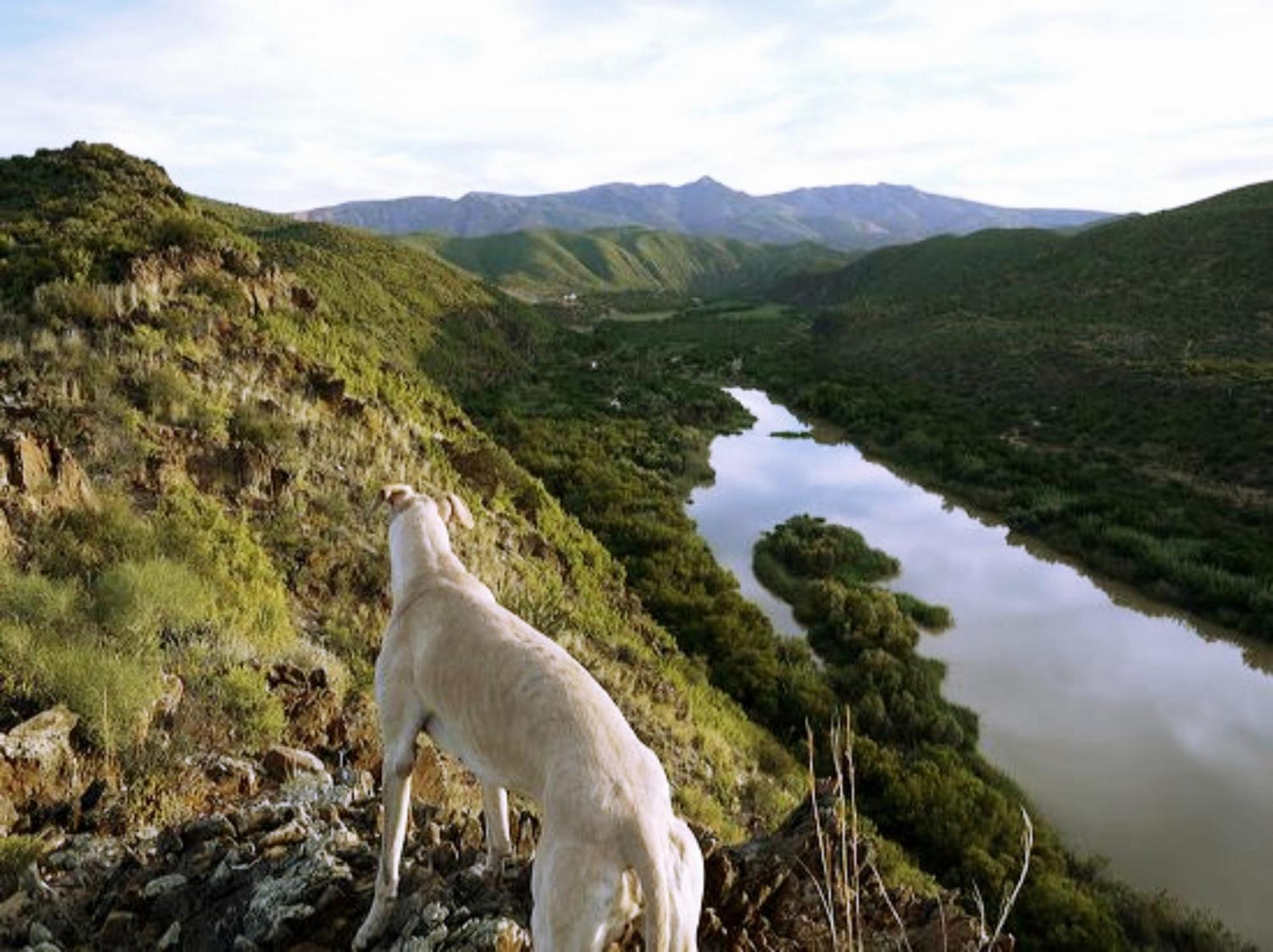 River View Cottages Calitzdorp Luaran gambar